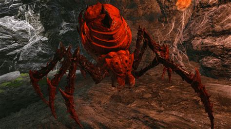 How much health does the broodmother have. Things To Know About How much health does the broodmother have. 